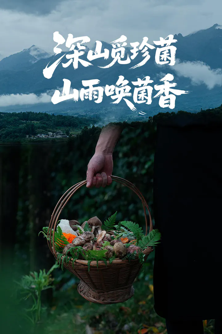 云南鲜菌分拣篮